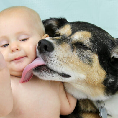 10 Ways Dogs Try to Communicate