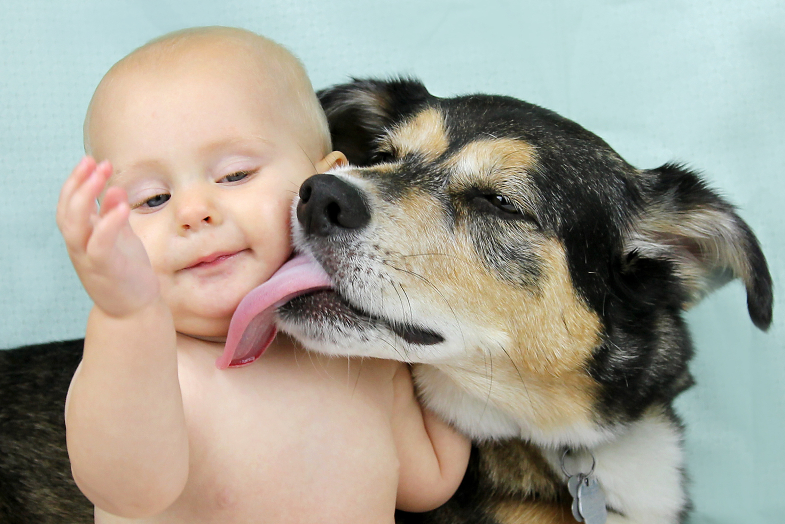 10 Ways Dogs Try to Communicate