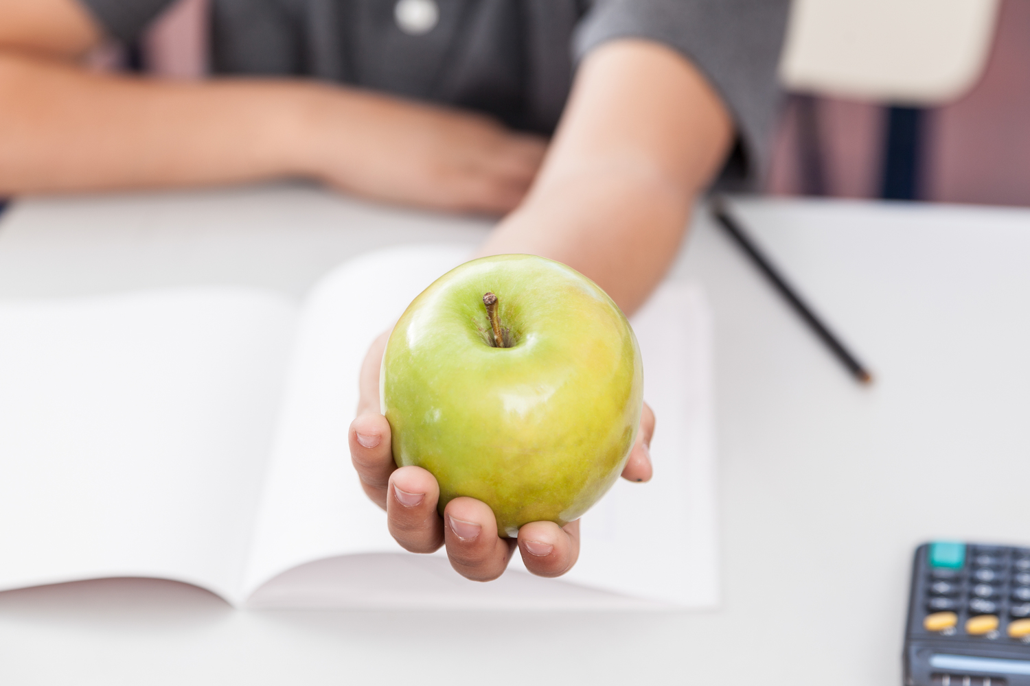 Safe Human Foods To Feed Dogs